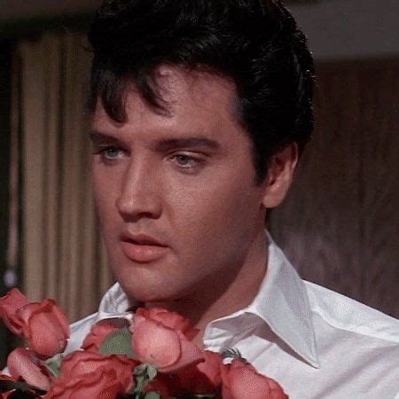 New On Blu Ray Paramount Presents King Creole Starring Elvis