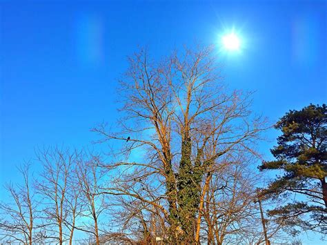 Perch Photograph By Chris Montcalmo Fine Art America