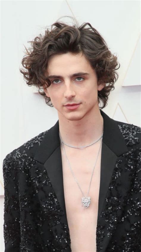 Pin By Hanate On Timothee At The Oscars Long Hair Styles Men Hair Cuts Mens Hairstyles