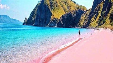 Mengenal Pantai Berpasir Merah Muda Pink Beach Di Timur Indonesia