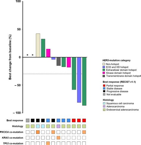 Best Change In Tumor Size And Characteristics In RECIST Efficacy