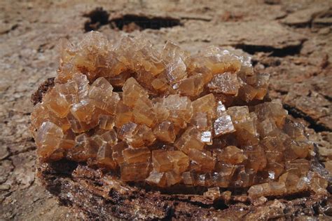 Ethiopia Danakil Desert Lake Assal Salt Crystals Stock Photo
