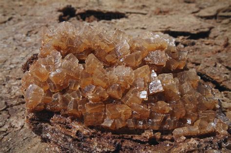 Ethiopia, Danakil Desert, Lake Assal, Salt crystals stock photo