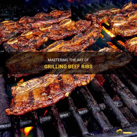 Mastering The Art Of Grilling Beef Ribs Shungrill