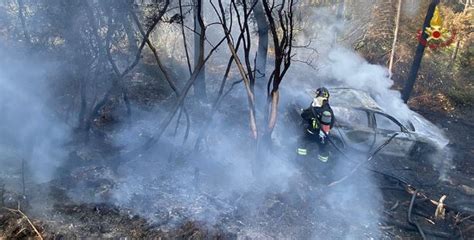 La Spezia Auto Finisce Fuori Strada E Innesca Un Incendio