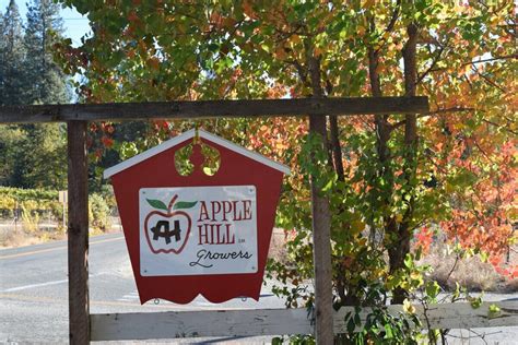 The Best Apple Hill Farms to Visit In The Fall - Small World This Is