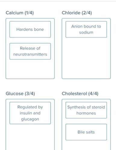 Kin Exam Flashcards Quizlet