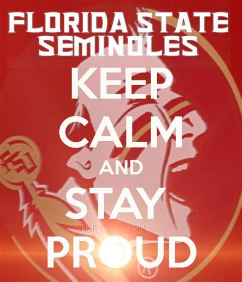 Fsu Football Florida State University Tallahassee Florida Usa