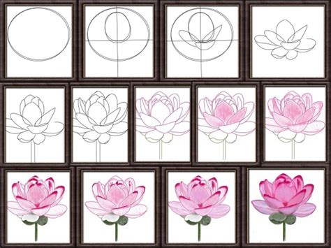 How To Draw A Perfect Flower Step By Step