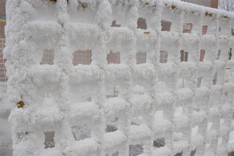 The Fence Grid Is Strewn With Frost Crystals Snowflakes Winter Snowy