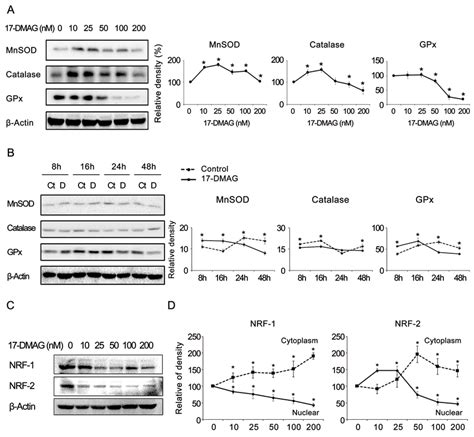 17 Dmag Effects On The Expression Of Antioxidant Enzymes And Nrfs