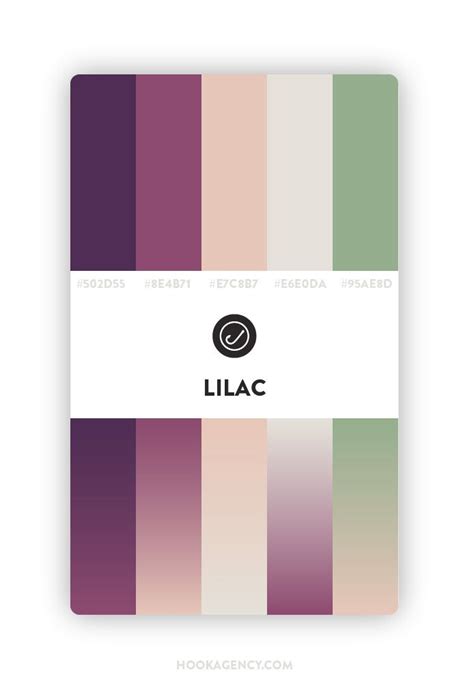 Color Schemes Modern Color Palette Collections Hook Agency