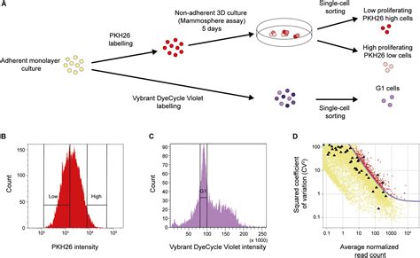 Frontiers Identification Of Breast Cancer Stem Cell Related Genes