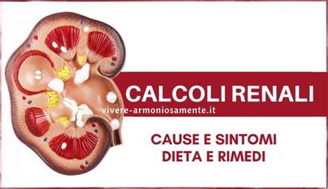 Calcoli Renali Sintomi Rimedi Calcoli Renali Rimedi Calcolatrice