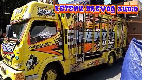 BREWOG AUDIO HOREG KARNAVAL SOUND SYSTEM PUNTEN BATU MALANG YouTube