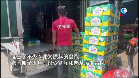 全球连线中国—东盟深化合作促水果贸易持续增长凤凰网视频凤凰网