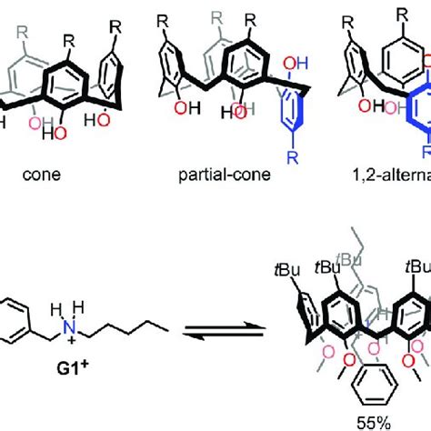 Chemical Structures Of A Calix N Arene And B The Four Conformations