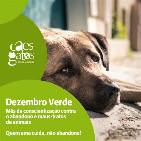 Dezembro Verde Mês de conscientização contra o abandono e maus tratos