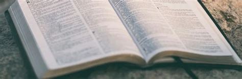 El Porqu Estudiar La Biblia Euroinnova