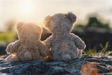 Premium Photo Two Teddy Bear Toys Sitting On A Stone And Holding