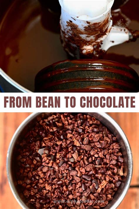 How to make chocolate from cocoa beans bean to bar chocolate – Artofit