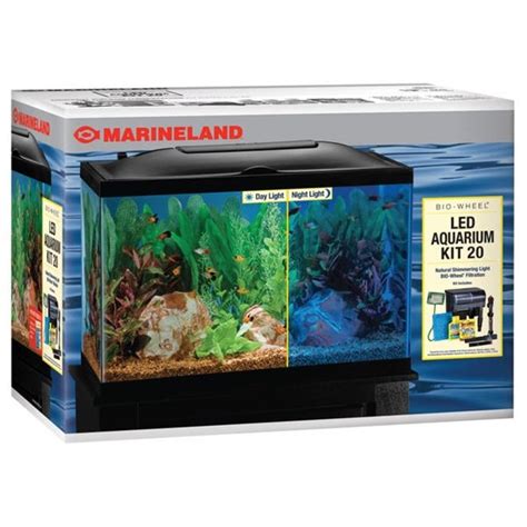 Top Ten 20 Gallon Fish Tanks For Your Home Of Office Aquatics World