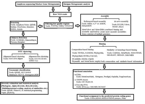 Flow diagram for the analysis of Metagenomics data. | Download ...