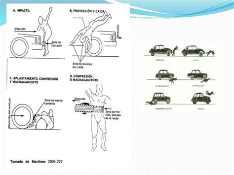 LESIONES POR HECHOS DE TRANSITO TERRESTRE Pptx