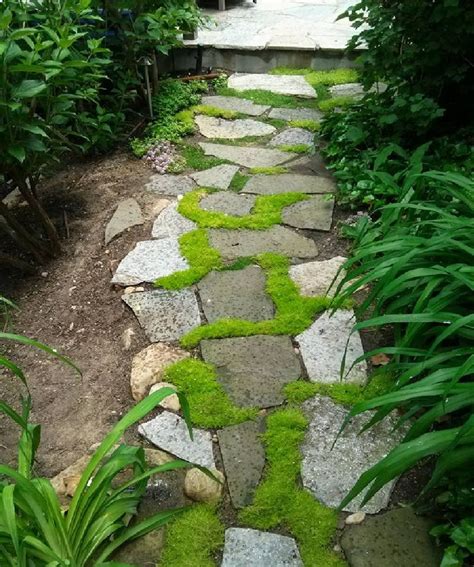 Mow Free Lawn No Grass Moss Slate Walkway Garden Images