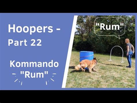 Hoopers Part Kommando Rum Basic Hund Umrundet X Komplett