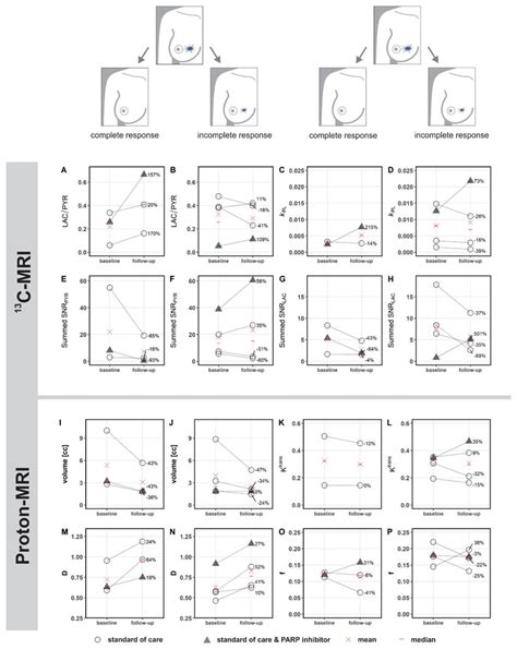 Changes in hyperpolarized 13 C-but not 1 H-MRI derived metrics after ...