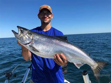 Best Times And Seasons To Fish Lake Ontario Full Guide Freshwater