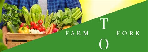 Farm To Fork Strategy For A Fair And Healthy Food System Matical