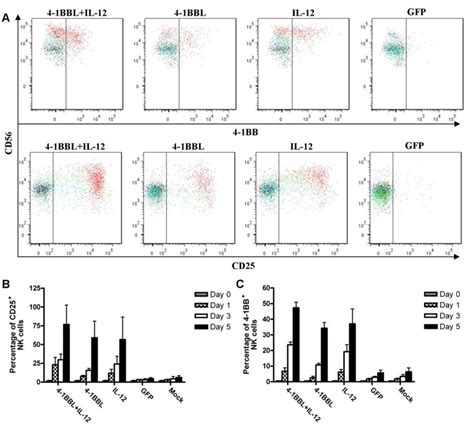 Time Course Of Cd25 And 4 1bb Expression By Cultured Nk Cells 05x10 6