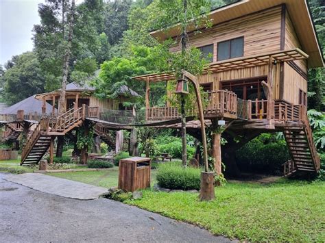 Liburan Staycation Seru Di Taman Safari Bogor Dengan Buggy Journey