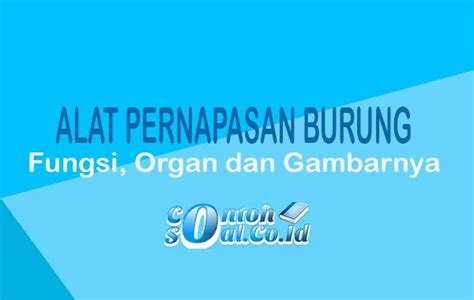 Alat Pernapasan Burung - Fungsi, Organ dan Gambarnya