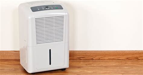 Dehumidifiers: Do They Stop Mold From Growing? | ReviewThis