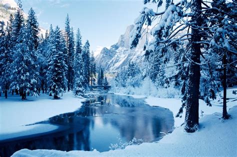 A River Surrounded By Trees Covered In Snow