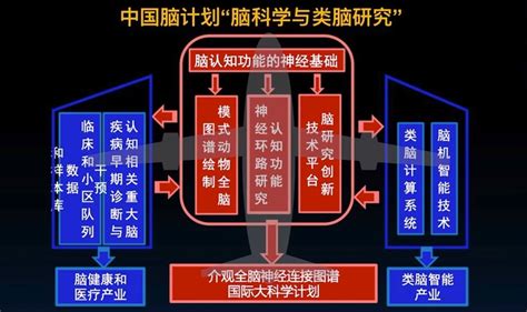 中国脑计划china Brain Project Overview 知乎