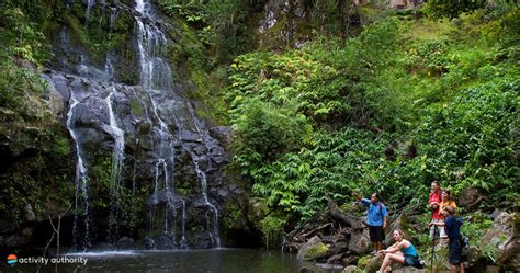 Best Big Island Hiking Tours Kohala Waterfall Tour