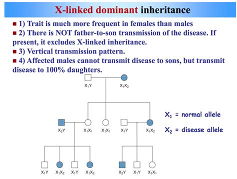 X Linked Dominant Disorders Examples Cloudshareinfo