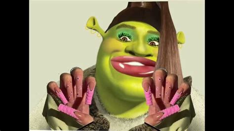 Baddie Shrek In 2024 Preppy Aesthetic Shrek Haha