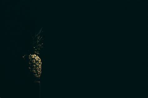 HD wallpaper: Pineapple, dark, exotic, fruit, minimal, minimalistic, simple | Wallpaper Flare