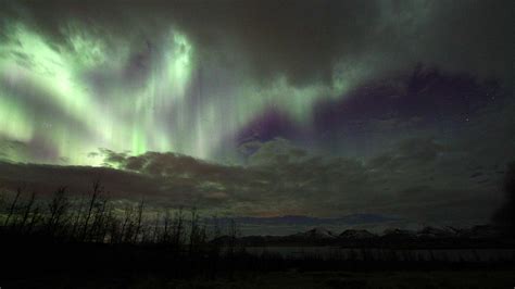 Aurora Forecast in Iceland Tonight and this Weekend | Aurora Forecast