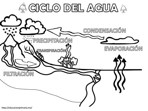 Cicloagua Ciclo Del Agua Agua Para Colorear Actividades Escolares