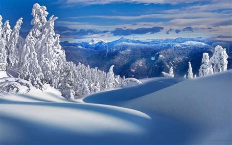 Montanhas Rvores Neve Inverno Cen Rio Da Natureza Pap Is De Parede