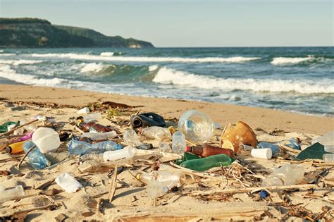 Inquinamento Marino La Plastica Rappresenta L Dei Rifiuti Che Si