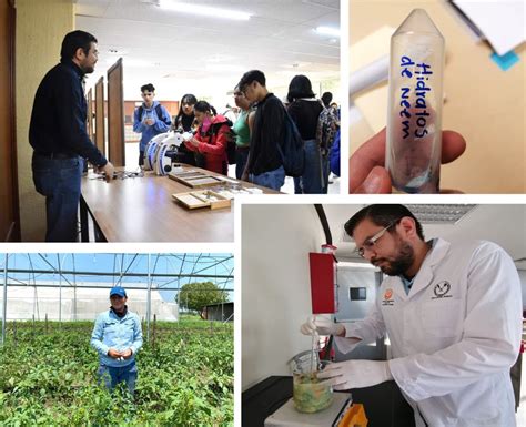 Identifica Uat Plantas Con Potencial Bioinsecticida Cuarto Poder De Tamaulipas