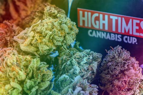 High Times Cannabis Cup Ascendancy Strains