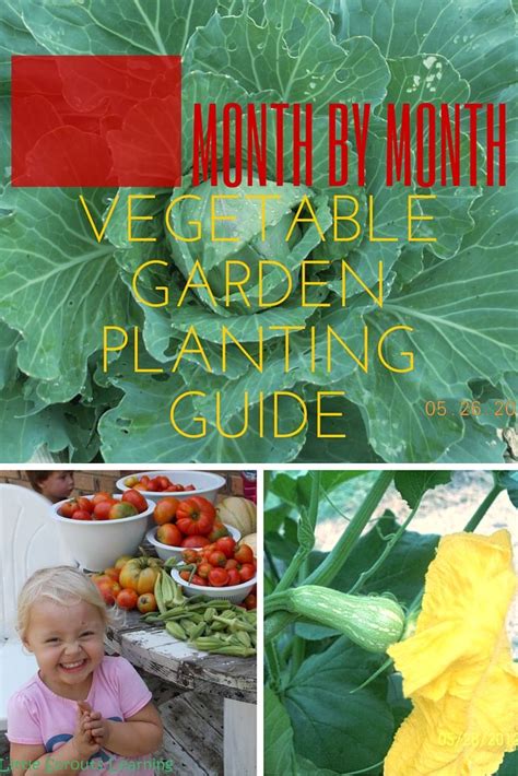 Month By Month Vegetable Garden Planting Guide